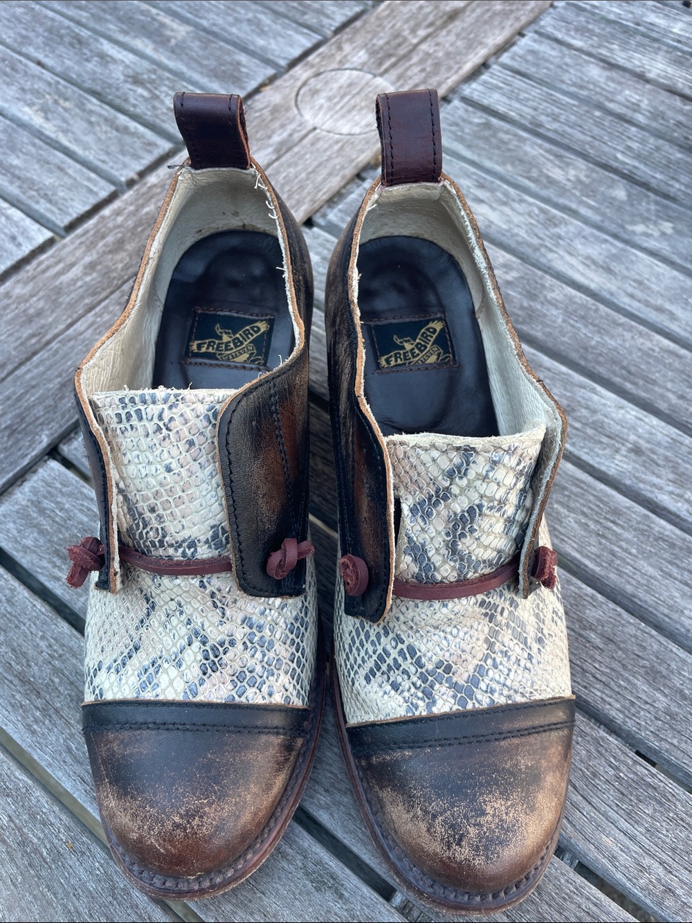 Freebird by Steven Sz 8 Catalina Brown & Cream Snake-Print Leather Heeled Oxford - Picture 8 of 15